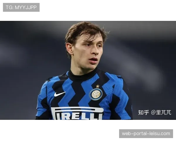 警方破获针对意甲球员的网络诈骗案,涉案金额超百万欧元 警方破获针对意甲球员的网络诈骗案,涉案金额超百万欧元